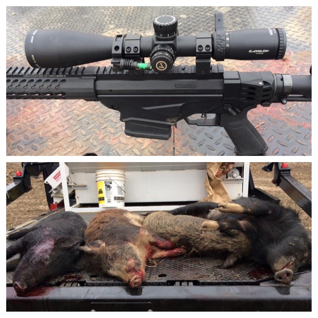 Processed with MOLDIV