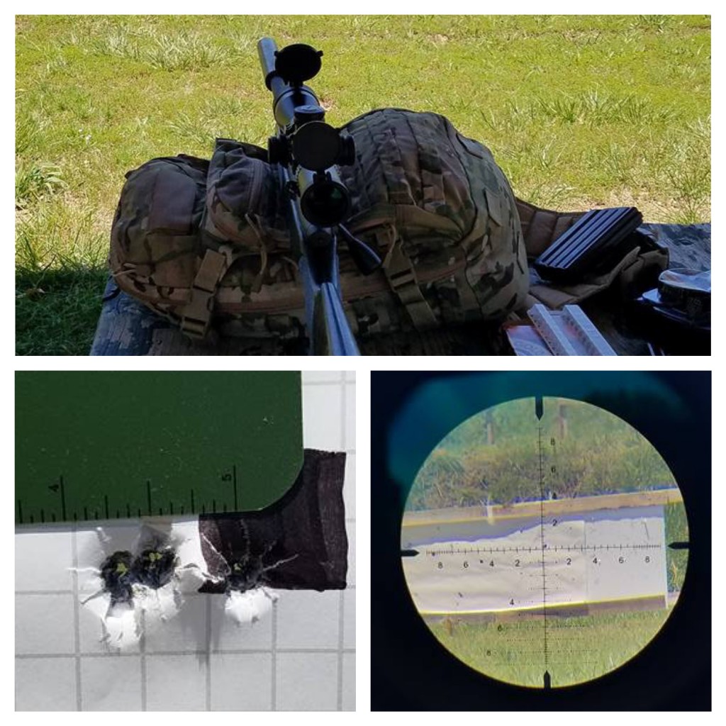 Processed with MOLDIV