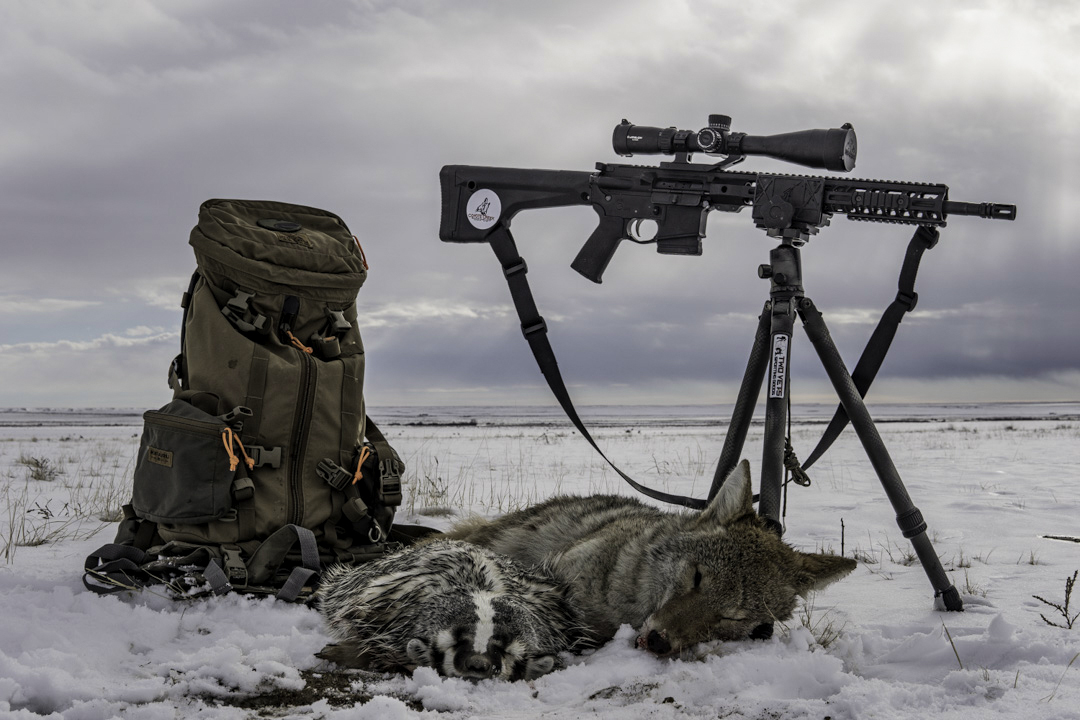 Coyote Hunting Pictures