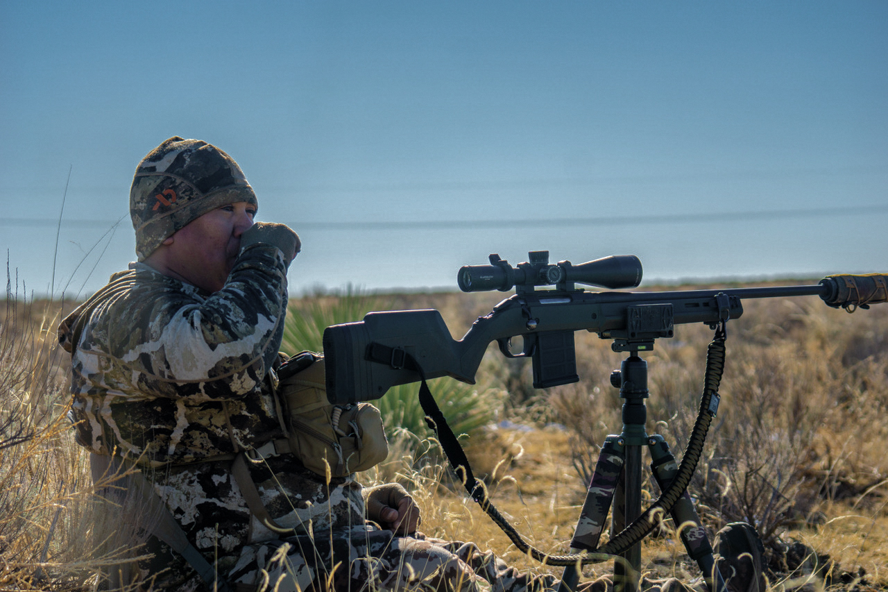 Hand calling coyotes